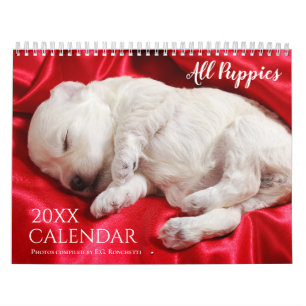Calendario de Muro de Perro de Cachorros 2025