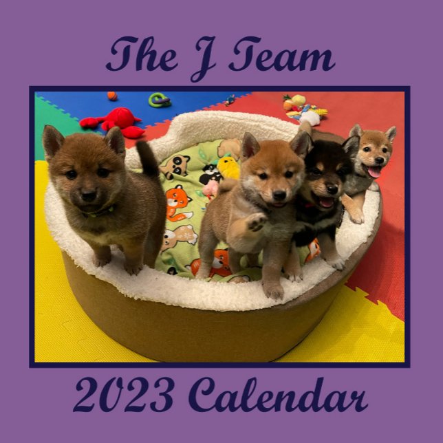 Calendario de Muro de Shiba PuppyCam 2023 (Subido por el creador)