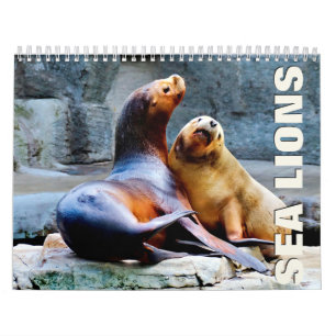 Calendario de Muros de Sea Lions 2022