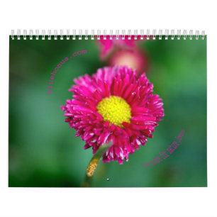Calendario de Naturaleza