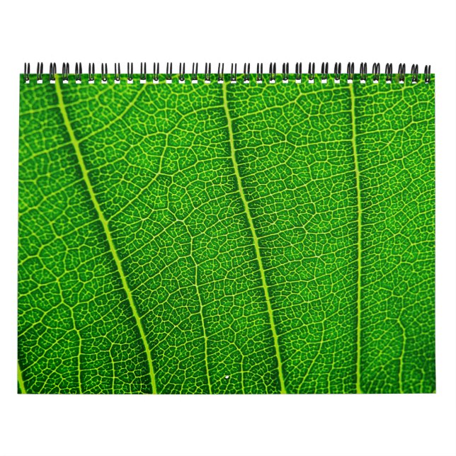 Calendario de naturaleza aleatoria (Tapa)