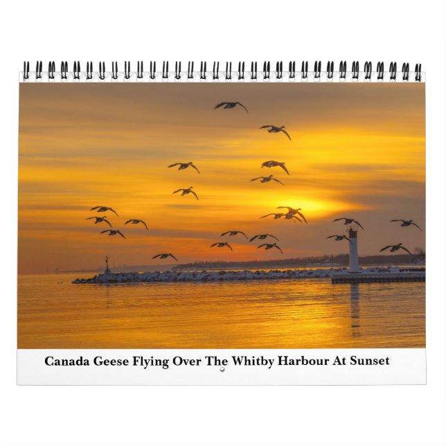 Calendario De Naturaleza Para 2023 (Tapa)