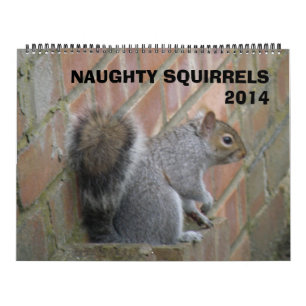 Calendario de Naughty Squirrels 2014