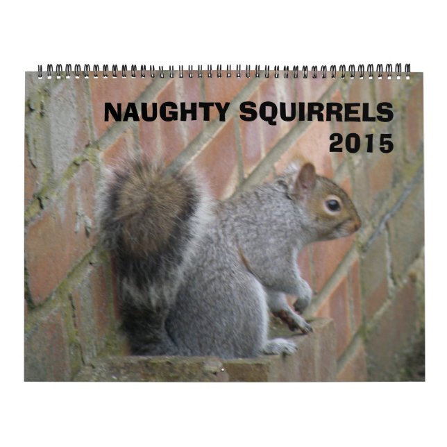 Calendario de Naughty Squirrels 2015 (Tapa)