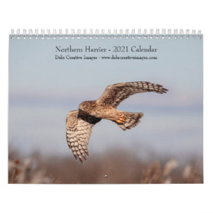 Calendario de Northern Harrier 2021