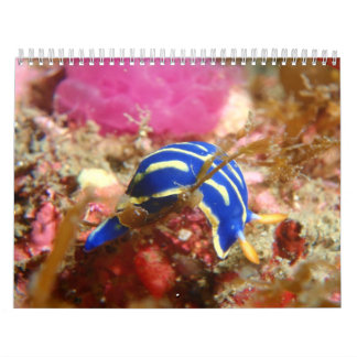 Calendario de Nudibranch