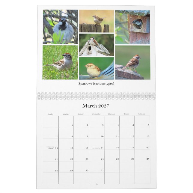 Calendario de observación de aves de 2026 (Mar 2027)
