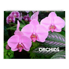 Calendario de orquídeas de 12 meses