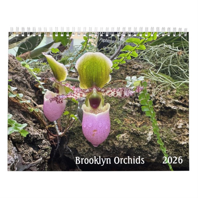 Calendario de orquídeas de Brooklyn 2026 (Tapa)