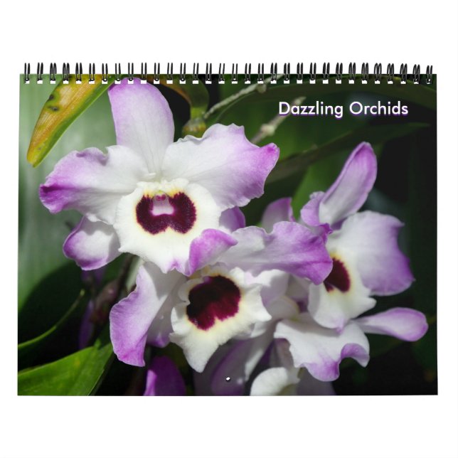 Calendario de orquídeas deslumbrantes (Tapa)
