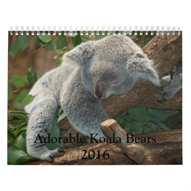Calendario de Osos de Koala 2016 Adorable (Tapa)