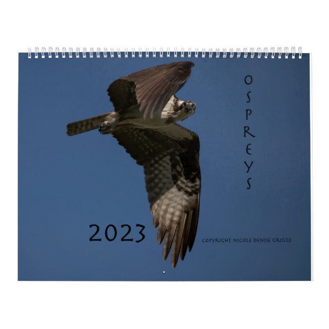 Calendario De Ospreys In Action 2023 (Tapa)