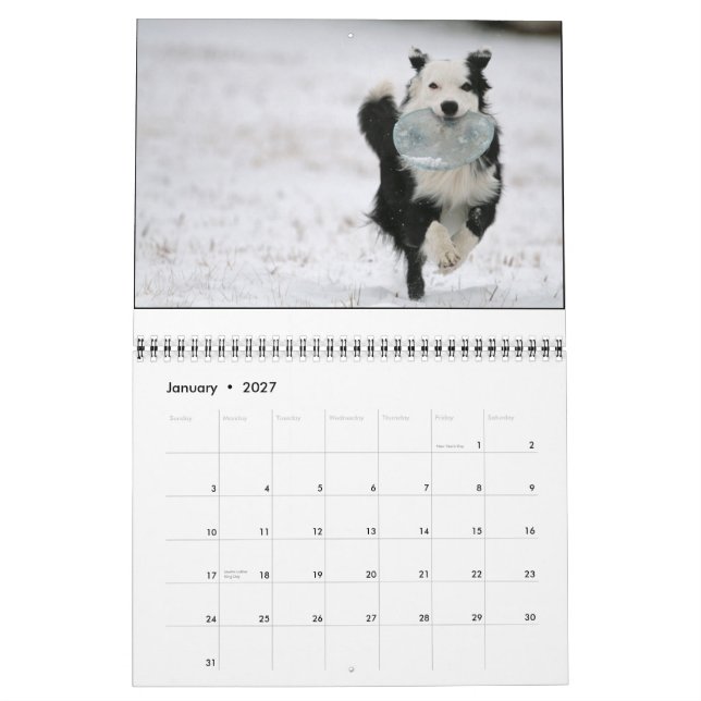 Calendario de Ouzo 2010 (Jan 2027)