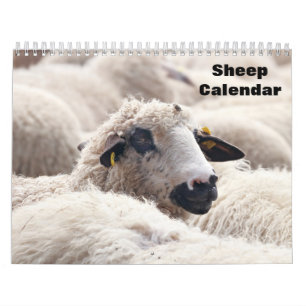 Calendario de ovejas 2027