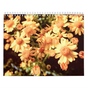 Calendario de país de granja