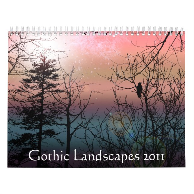 Calendario de paisajes góticos 2011 (Tapa)