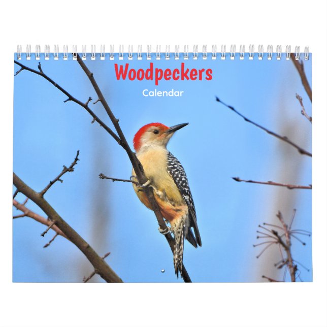 Calendario de Pájaros Carpinteros (Tapa)