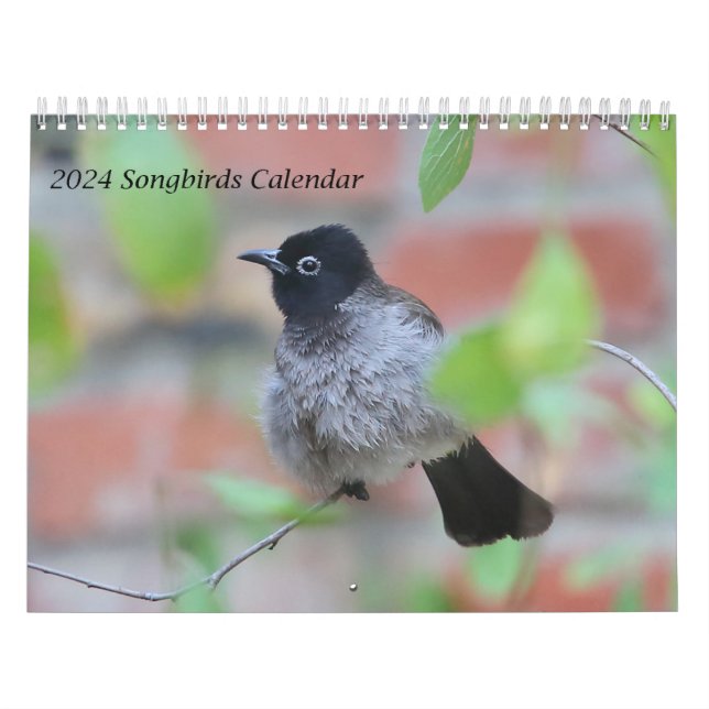 Calendario de pájaros sonoros de 2024 (Tapa)