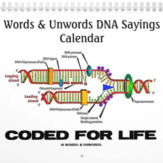 Calendario de Palabras y Despalabras de ADN 2016 (Calendar featuring funny DNA/genetics sayings for anyone into wry molecular biology attitude!)