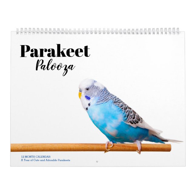 Calendario de Parakeet Palooza (Tapa)