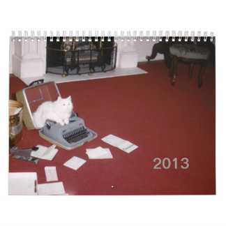 Calendario de pared 2013 (nueva edición)