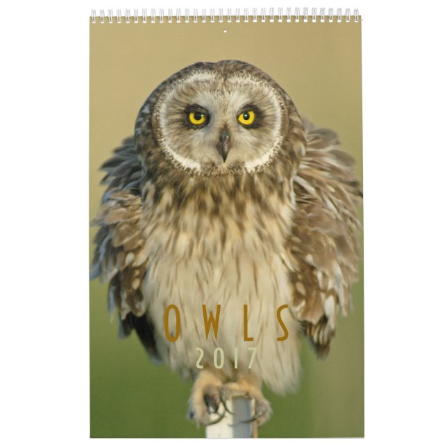 Calendario de pared 2017 para los amantes del búho (Tapa)