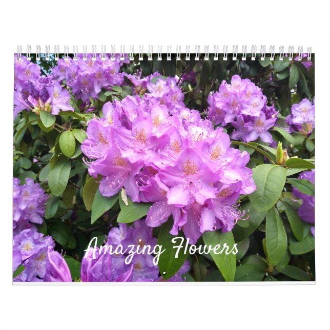 Calendario de pared asombroso de las flores (Tapa)
