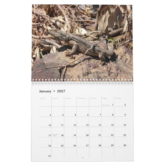 Calendario de pared barbudo de los dragones (Jan 2027)