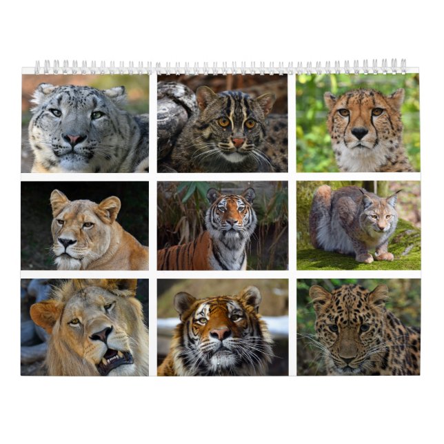 Calendario de pared con las fotos de gatos (Reverso)