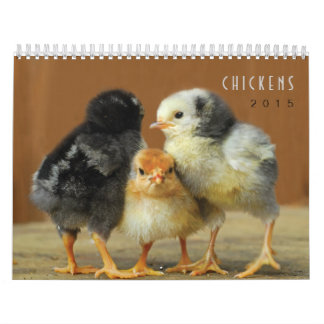 Calendario de pared de 2015 pollos