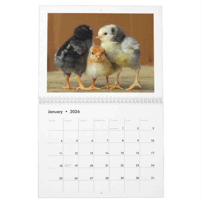Calendario de pared de 2015 pollos (Jan 2026)