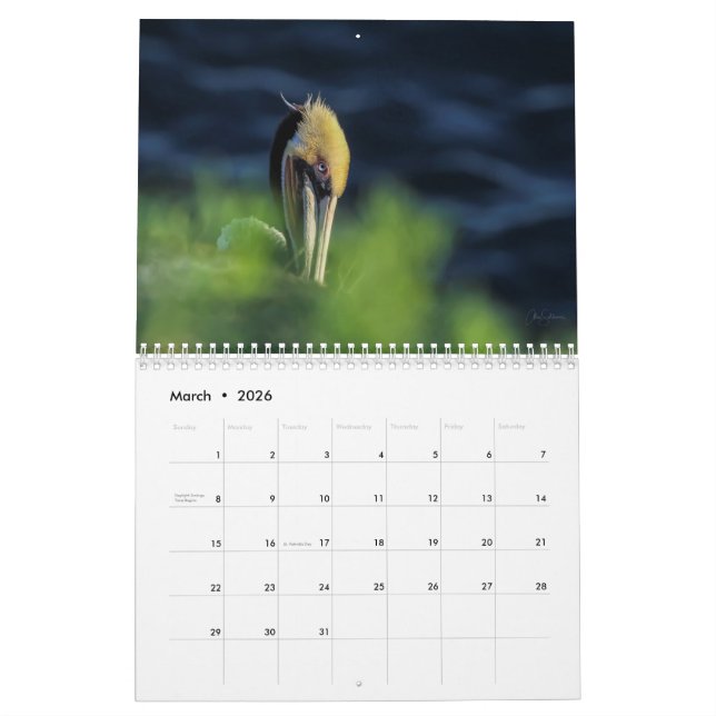 Calendario de Pared de Aves 2022 (Mar 2026)