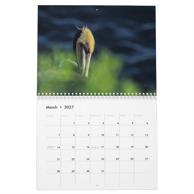 Calendario de Pared de Aves 2022 (Mar 2027)
