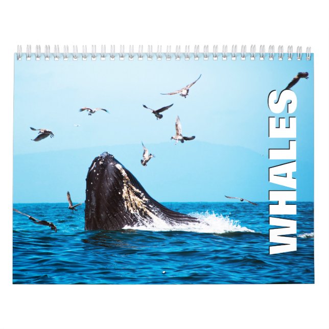 Calendario de Pared de Ballenas (Tapa)
