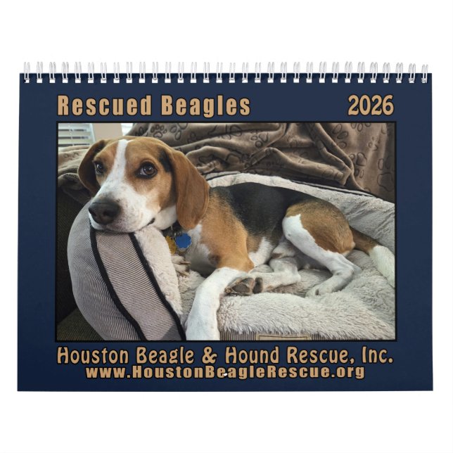 Calendario de pared de Beagles Rescatados 2026 (Tapa)