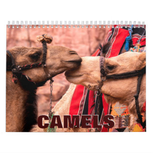 Calendario de pared de camels 2022