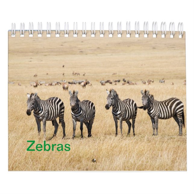 Calendario de pared de cebra (Tapa)