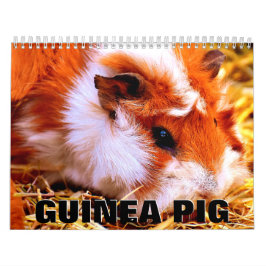 Calendario de Pared de Cerdo de Guinea