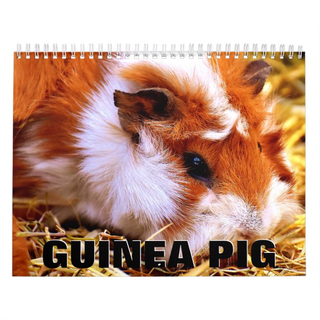 Calendario de Pared de Cerdo de Guinea (Tapa)