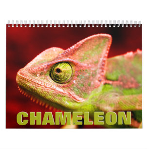 Calendario de pared de Chameleon