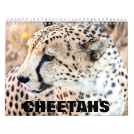 Calendario de pared de Cheetahs