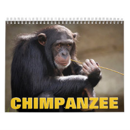 Calendario de pared de chimpancé