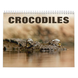 Calendario de pared de Crocodiles 2022