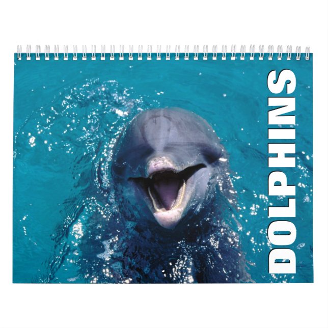 Calendario de pared de delfines (Tapa)