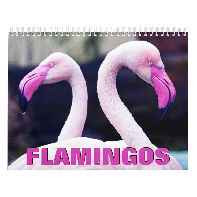 Calendario de pared de flamencos rosados (Tapa)