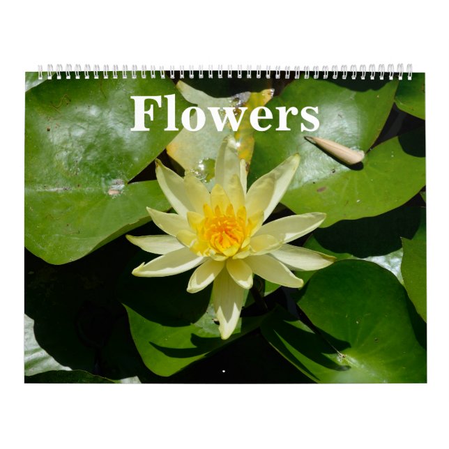 Calendario de pared de flores de 12 meses (Tapa)