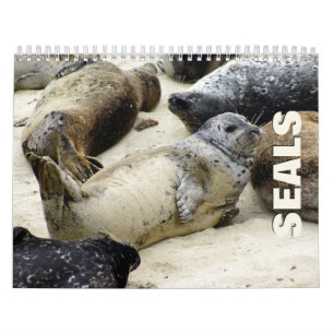 Calendario de pared de focas 2022