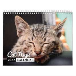 Calendario de pared de fotos de Cat Naps
