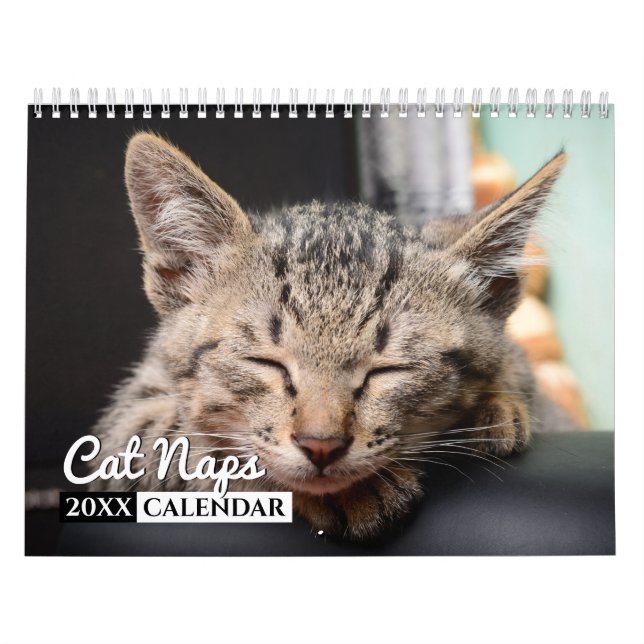 Calendario de pared de fotos de Cat Naps (Tapa)
