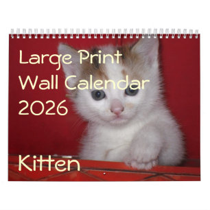 Calendario de pared de fotos de gatitos 2026